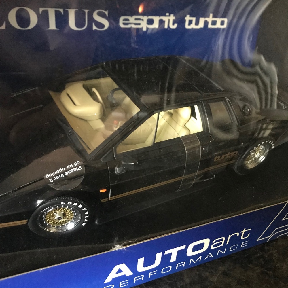 PLEASE DON’T PURCHASE AS MY PAYMENT SYSTEM IS NOT WORKING Lotus 1/18 model